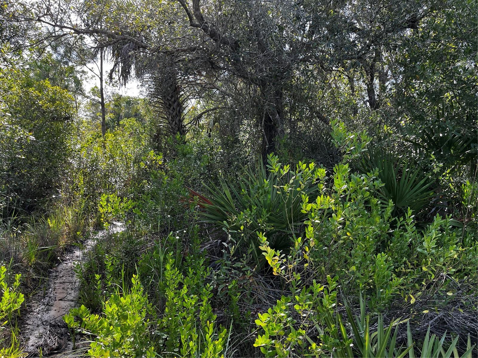 Image 21 of 52 For 50204 Bermont Road