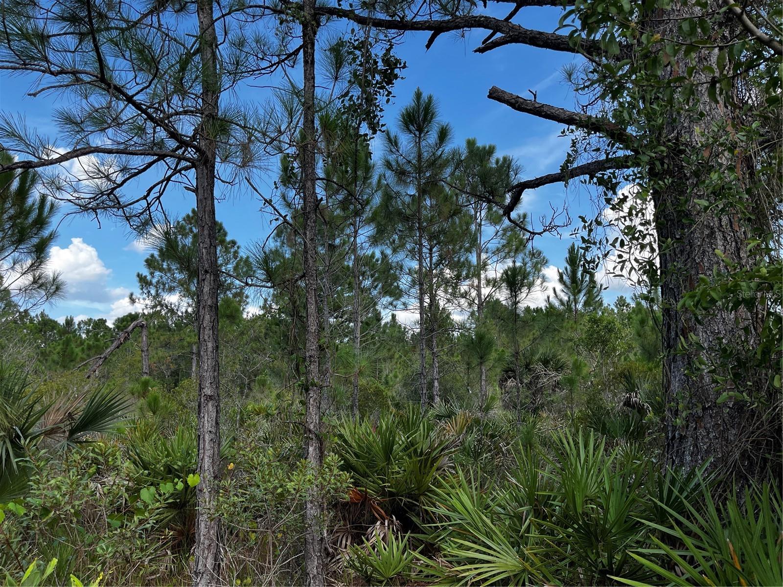 Image 41 of 52 For 50204 Bermont Road