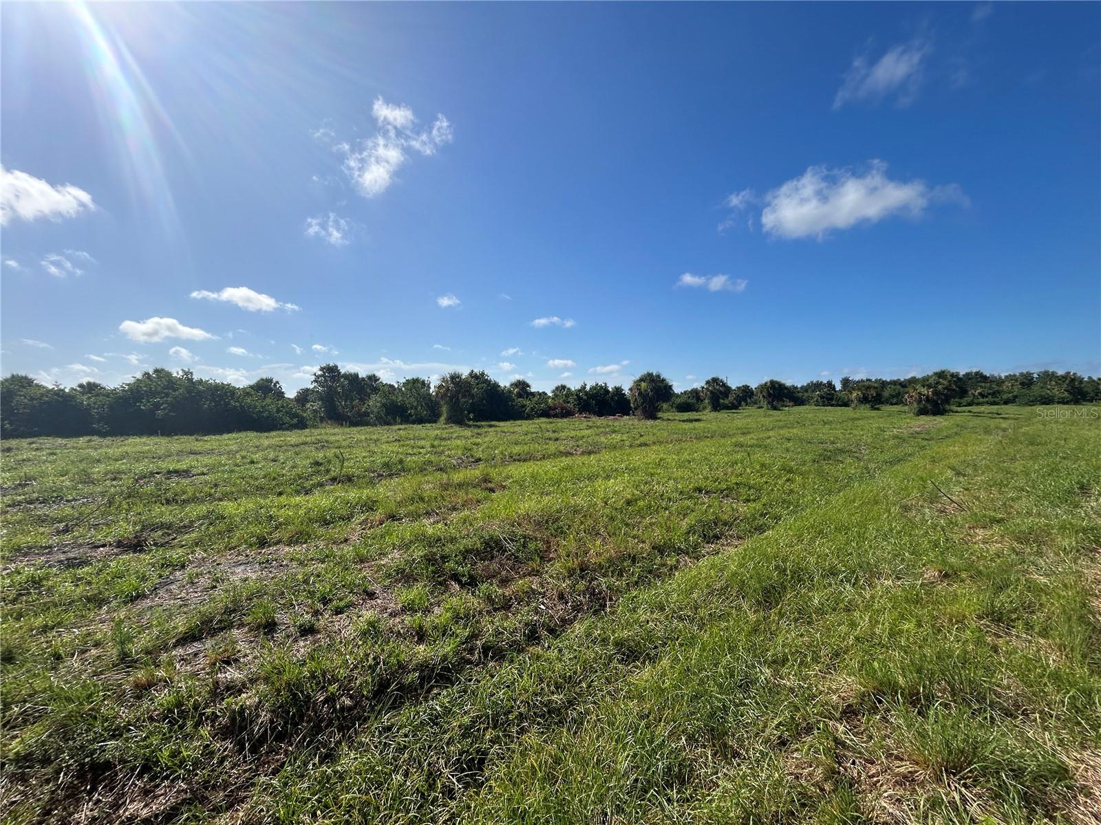 Image 4 of 9 For 7174 Grove Boulevard