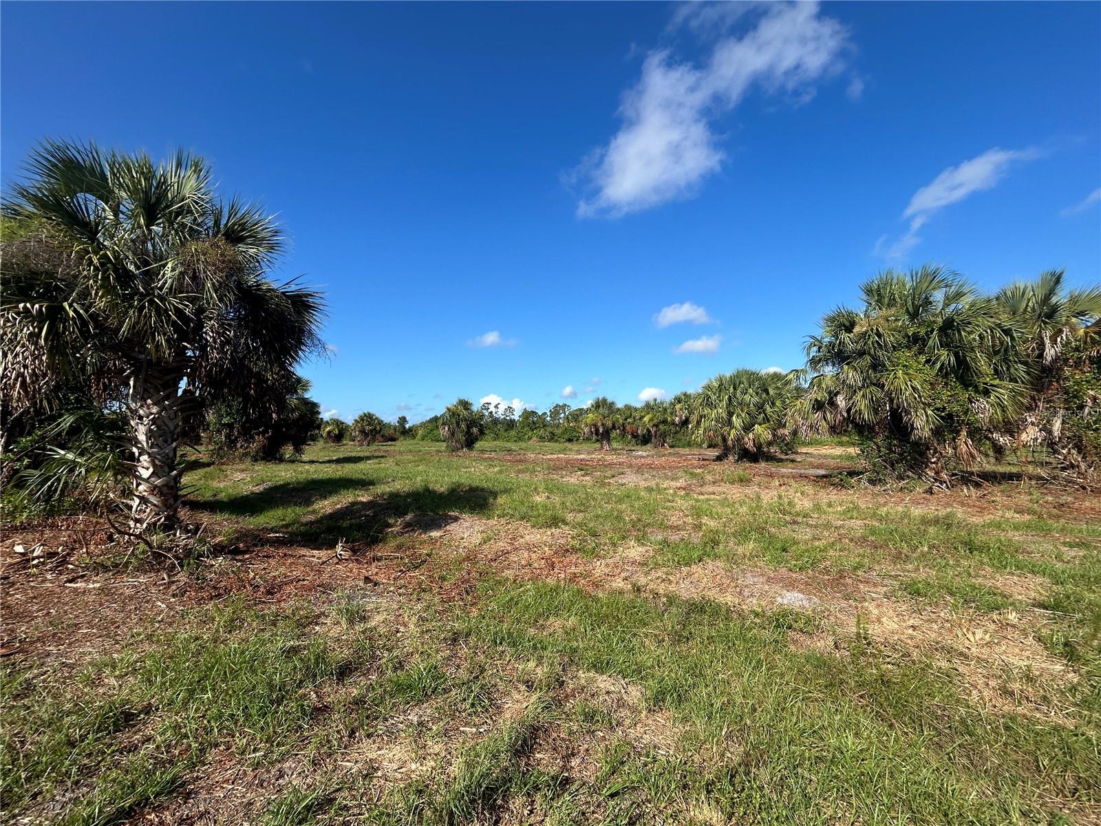 Image 7 of 9 For 7174 Grove Boulevard