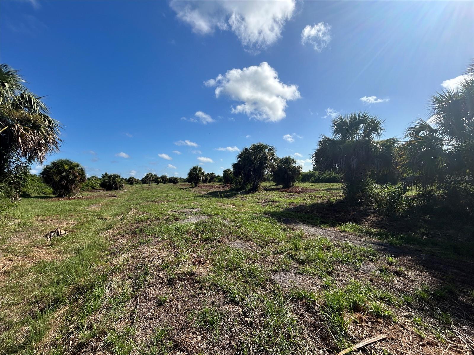 Image 8 of 9 For 7174 Grove Boulevard