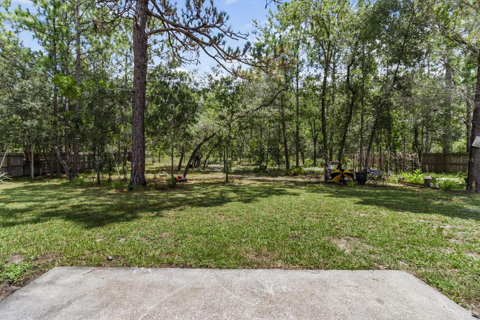 Listing photo id 36 for 16038 Malden Road