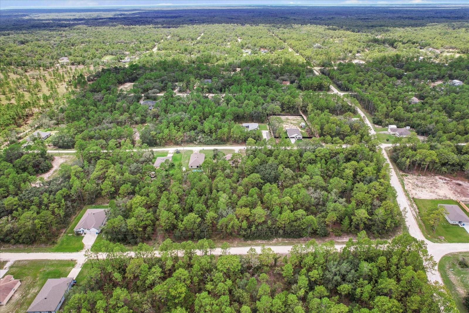 Listing photo id 37 for 16038 Malden Road