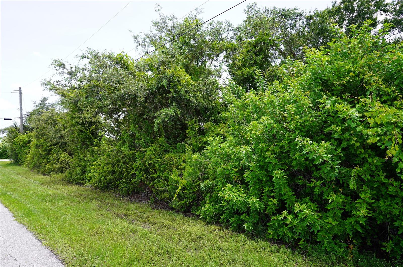 Image 2 of 10 For 12980 Ridgely Circle 3