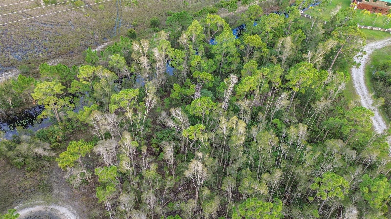 Image 14 of 15 For 12432 Landau Court