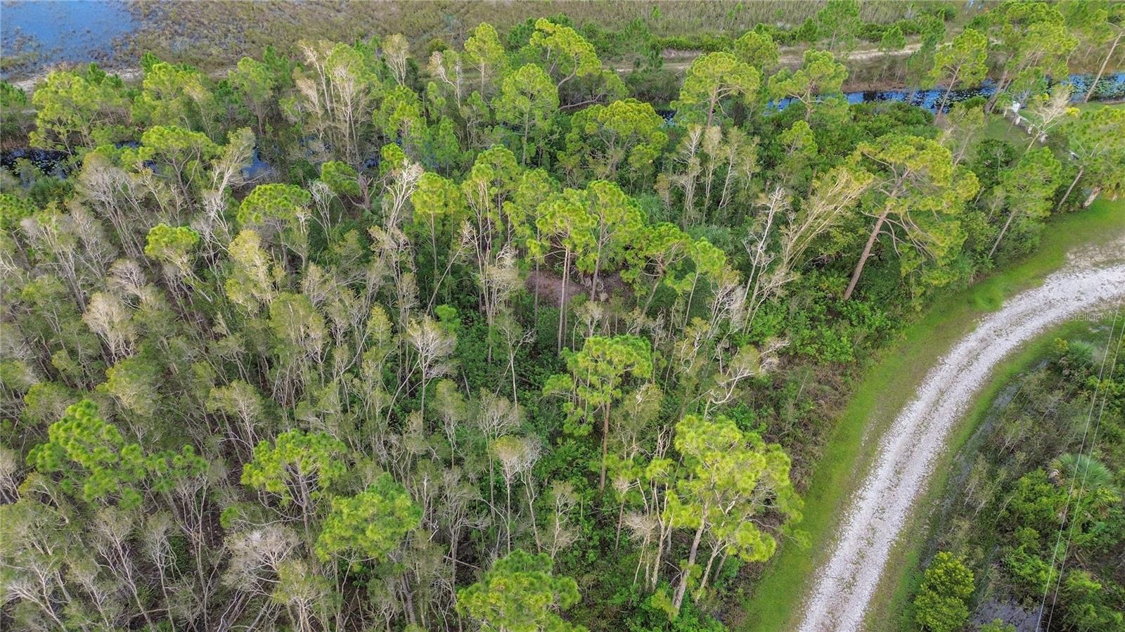 Image 8 of 15 For 12432 Landau Court