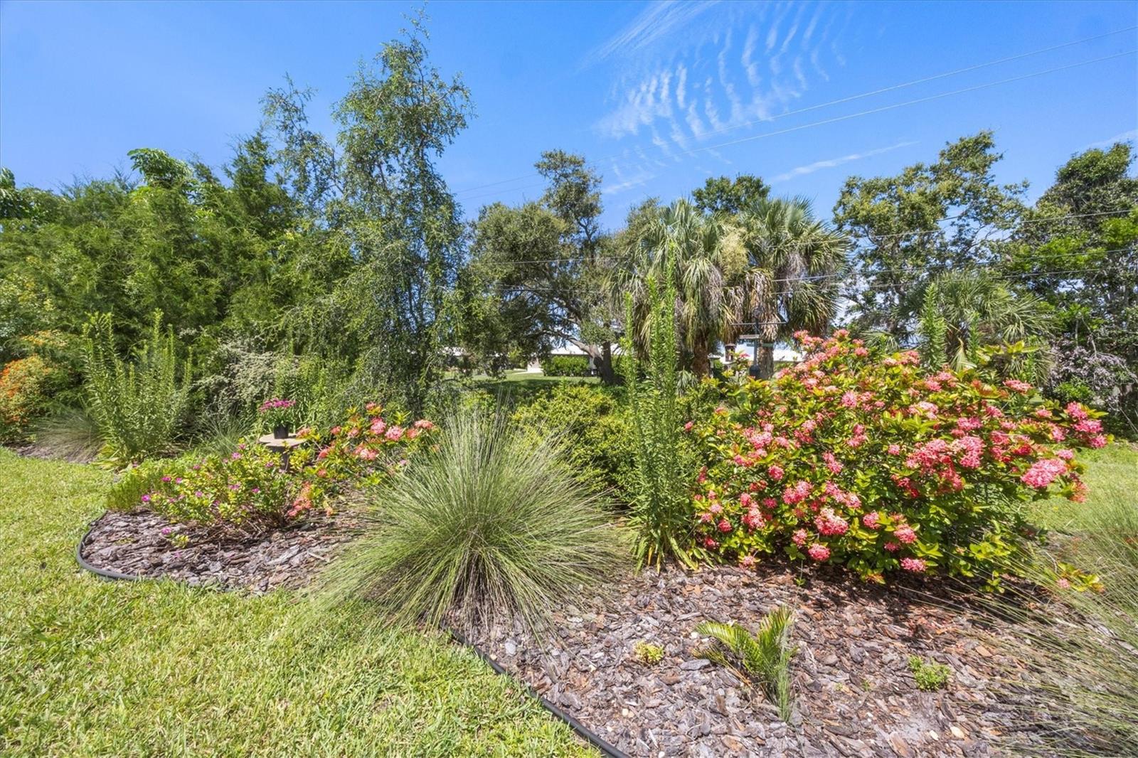 Image 46 of 49 For 395 Rossetti Drive
