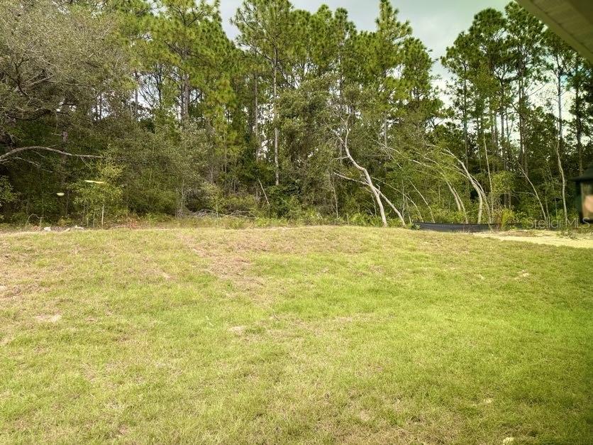 Listing photo id 13 for 5718 Decarlo Drive