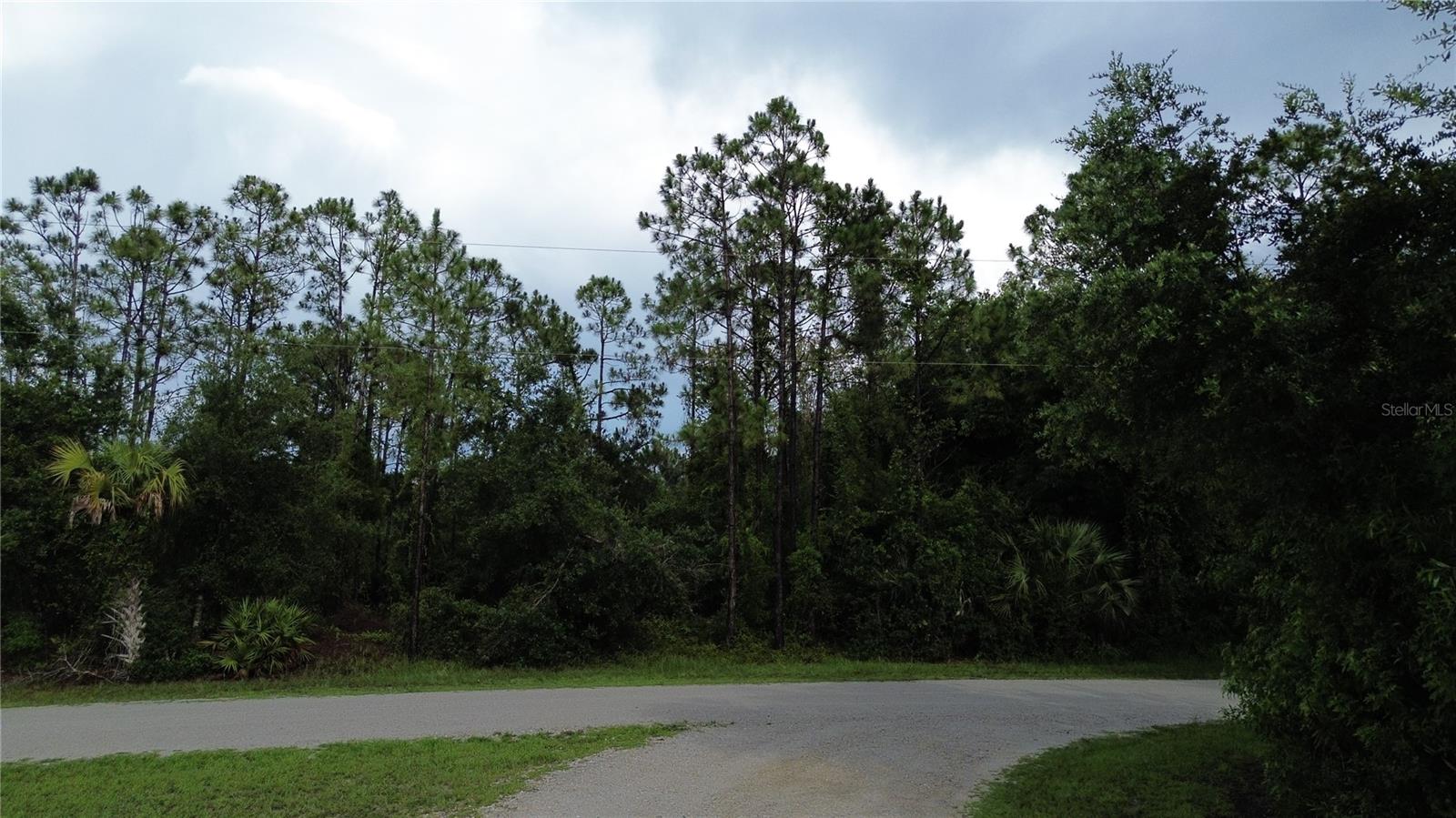 Details for 12198 Del Rio Drive, PUNTA GORDA, FL 33955
