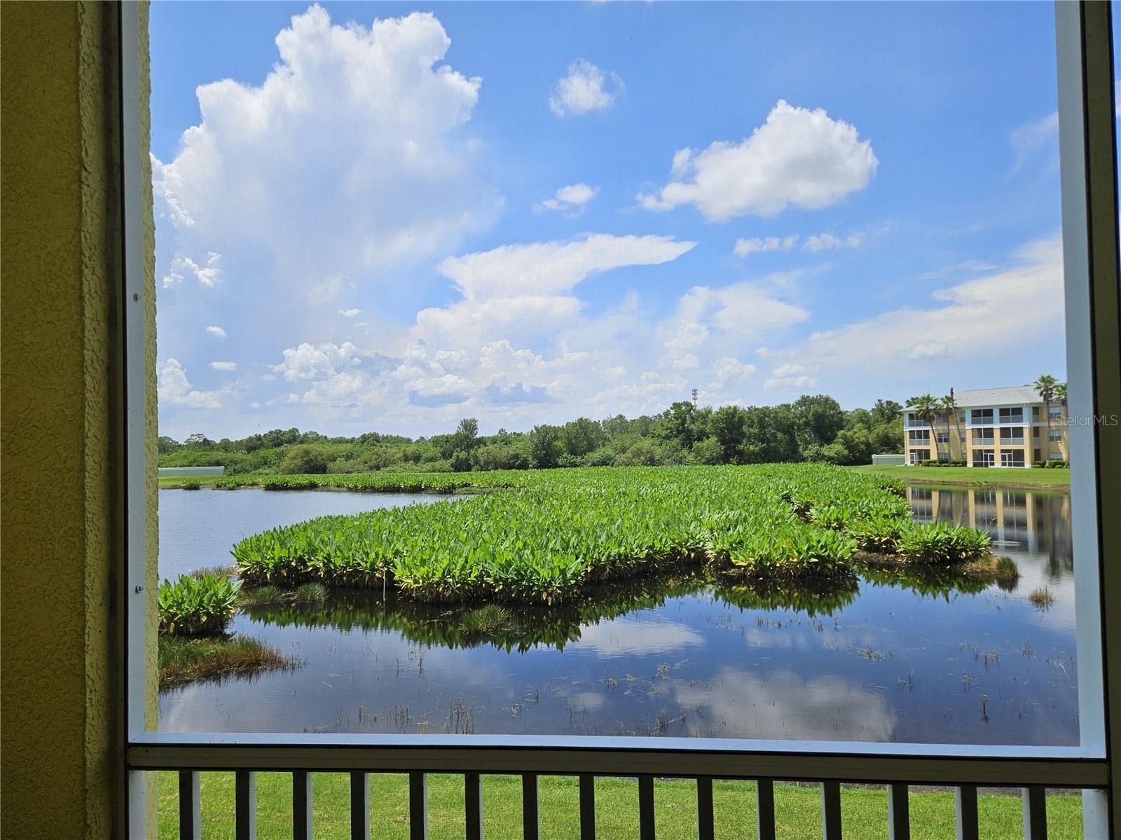 Image 11 of 57 For 2140 Heron Lake Drive 202