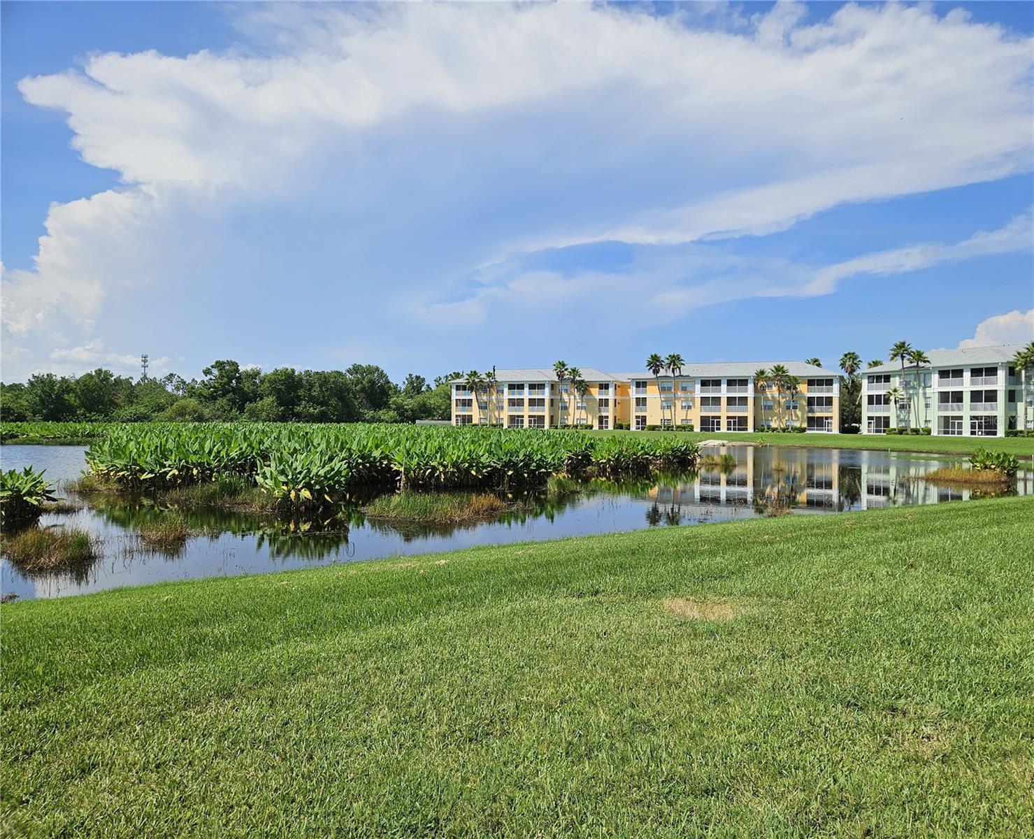 Image 3 of 57 For 2140 Heron Lake Drive 202