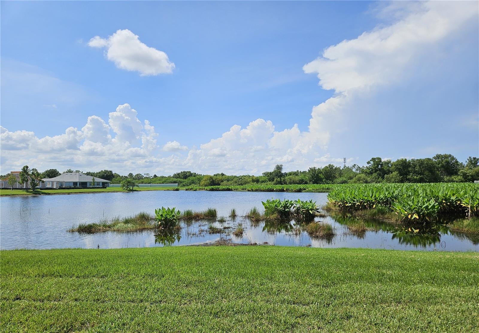 Image 43 of 57 For 2140 Heron Lake Drive 202