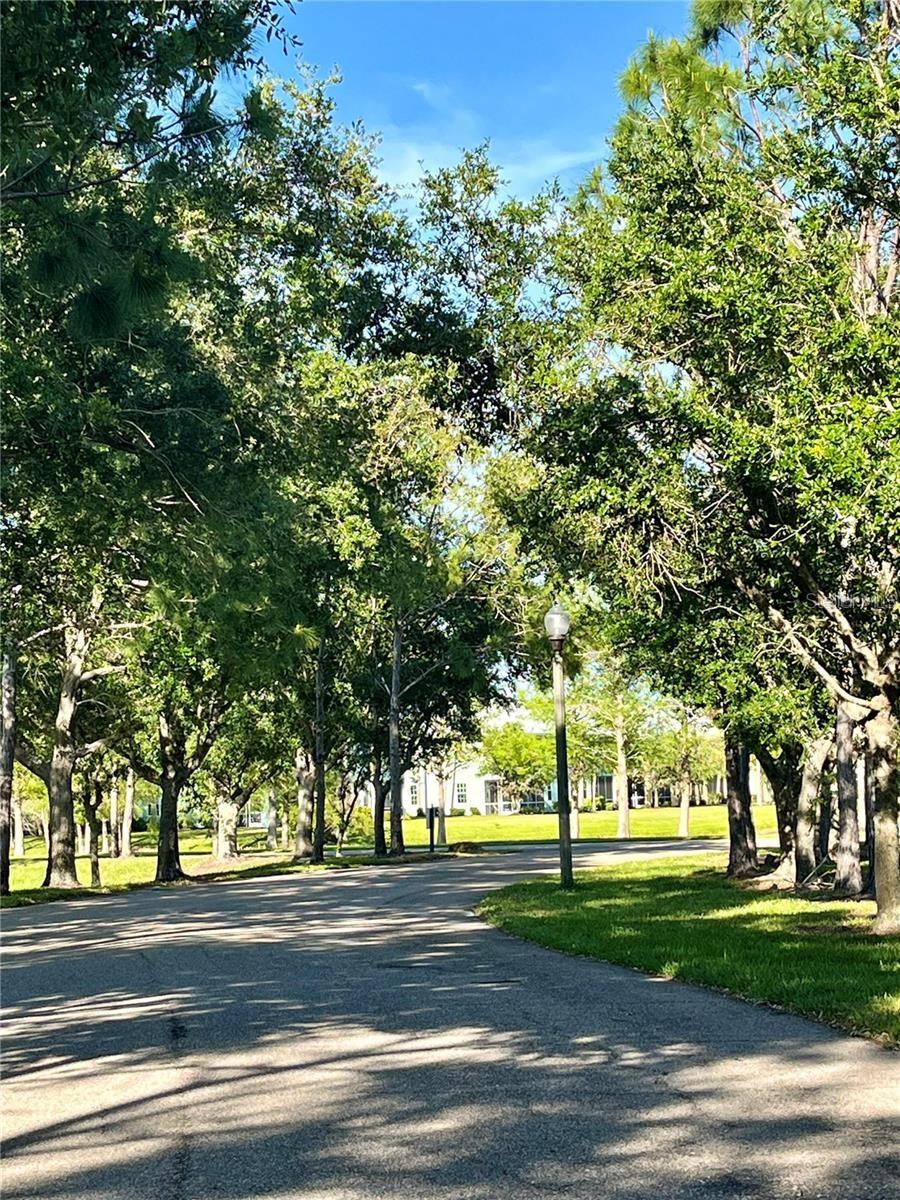 Image 60 of 61 For 2140 Heron Lake Drive 202