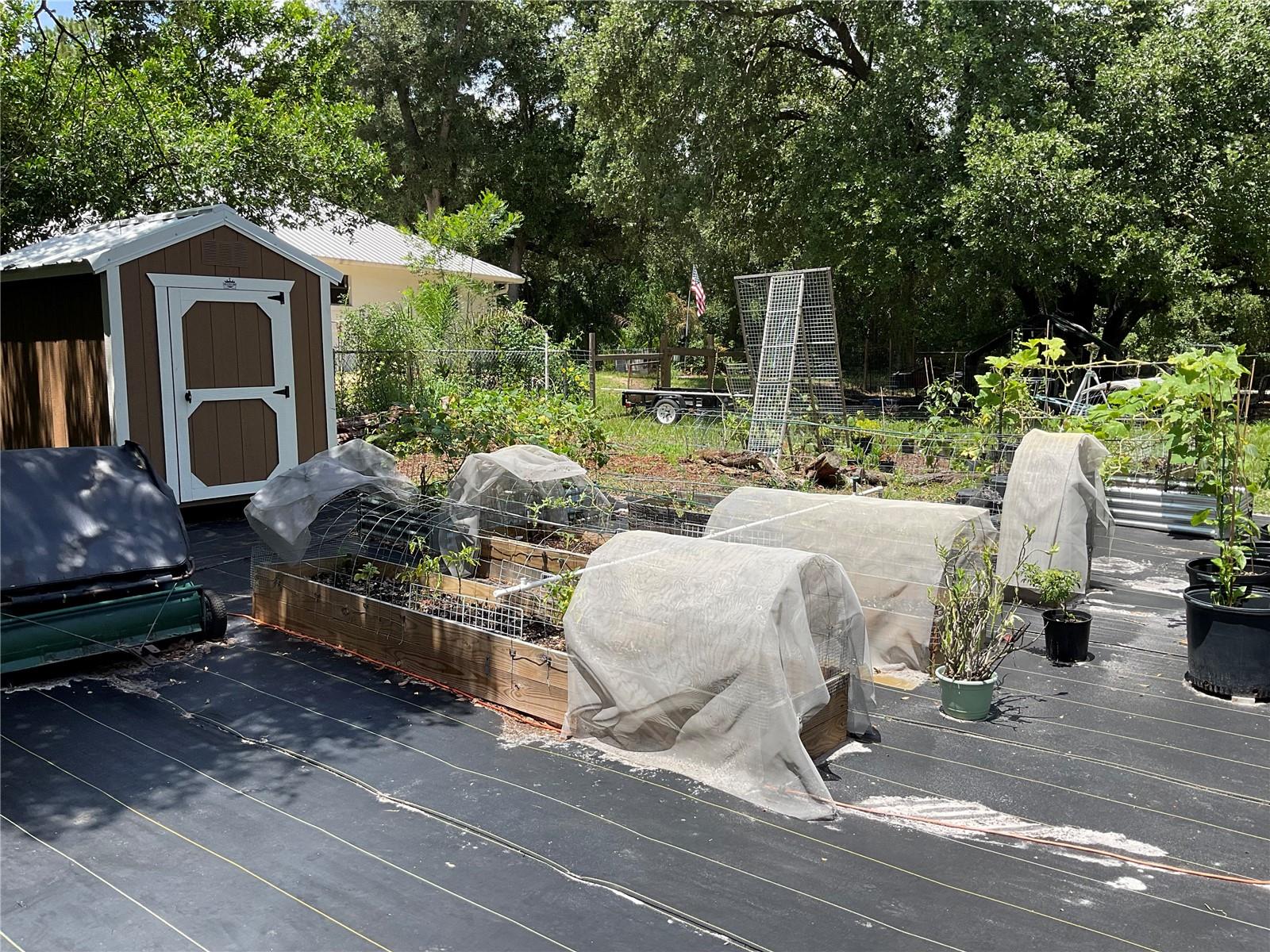 Image 11 of 25 For 907 Larkspur Street