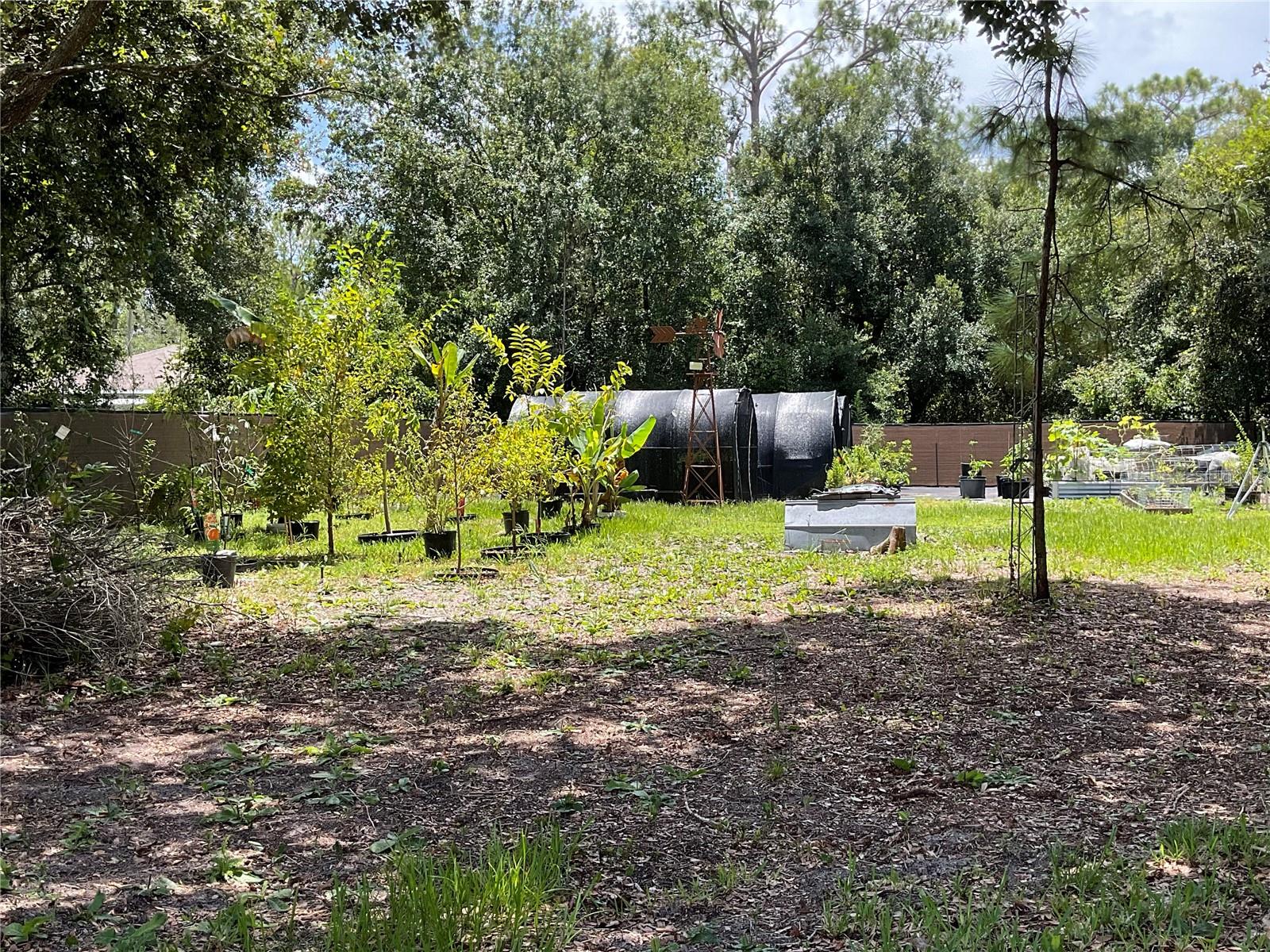 Image 2 of 25 For 907 Larkspur Street