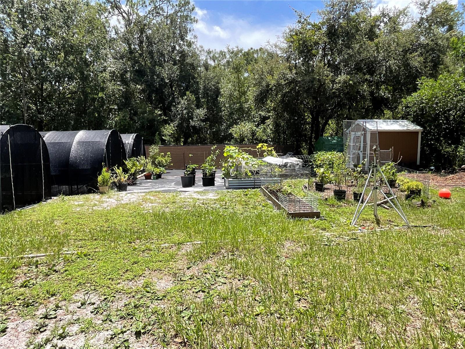 Image 5 of 25 For 907 Larkspur Street