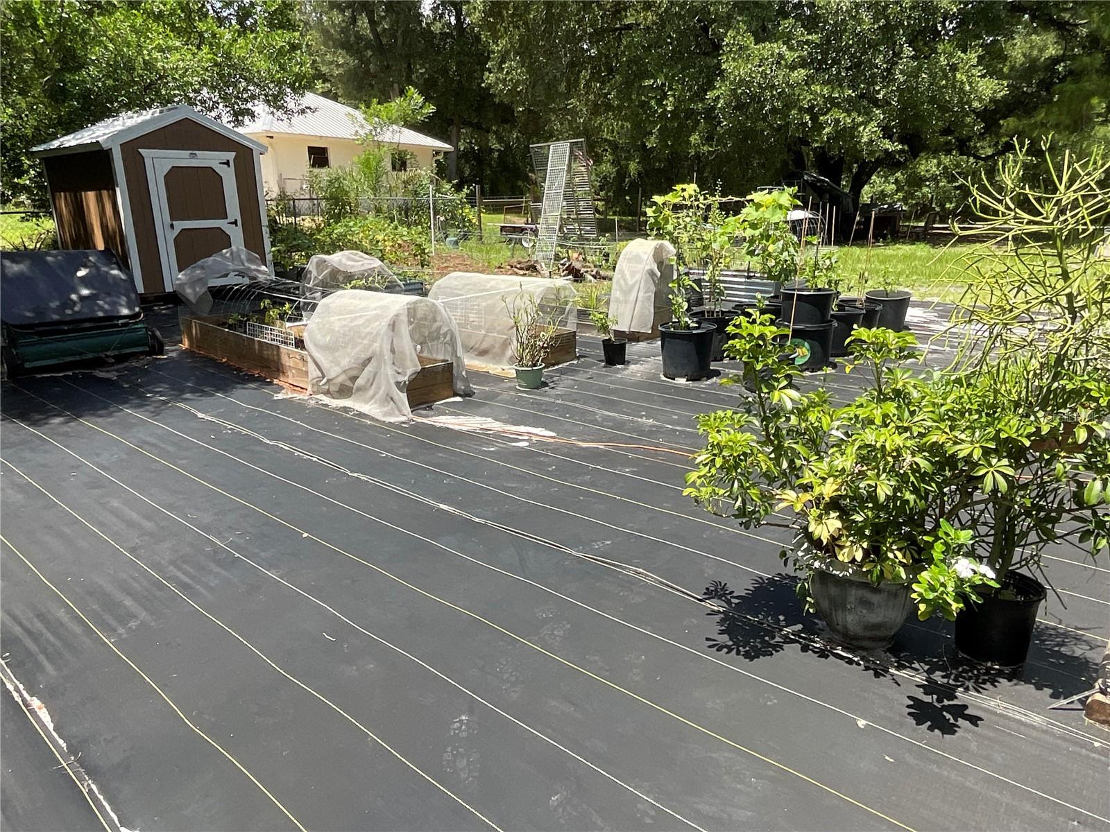 Image 6 of 25 For 907 Larkspur Street