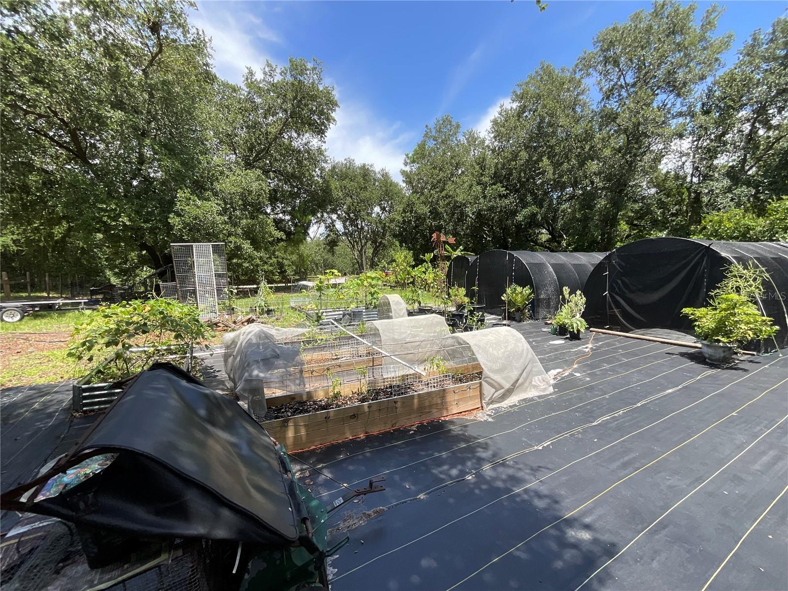 Image 9 of 25 For 907 Larkspur Street