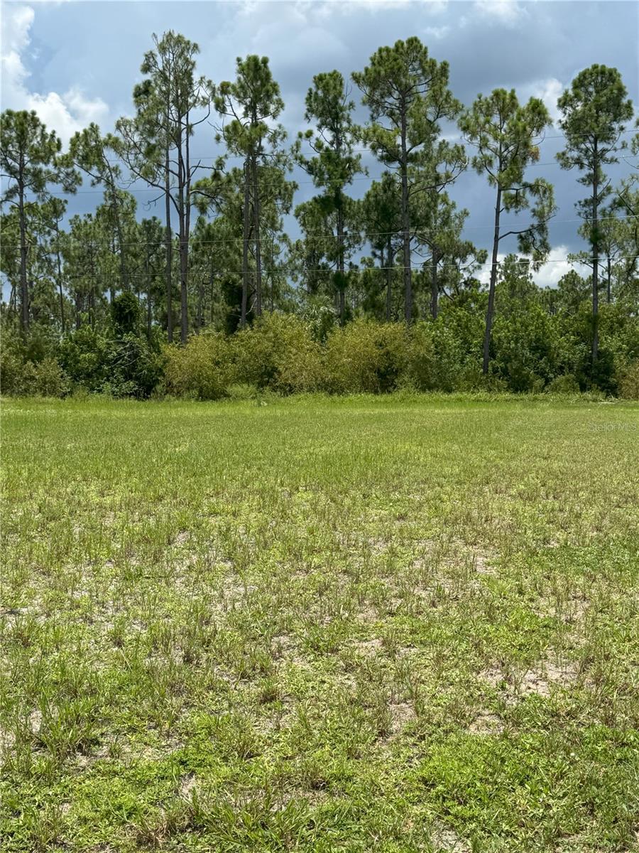 Details for 25573 Prada Drive, PUNTA GORDA, FL 33955