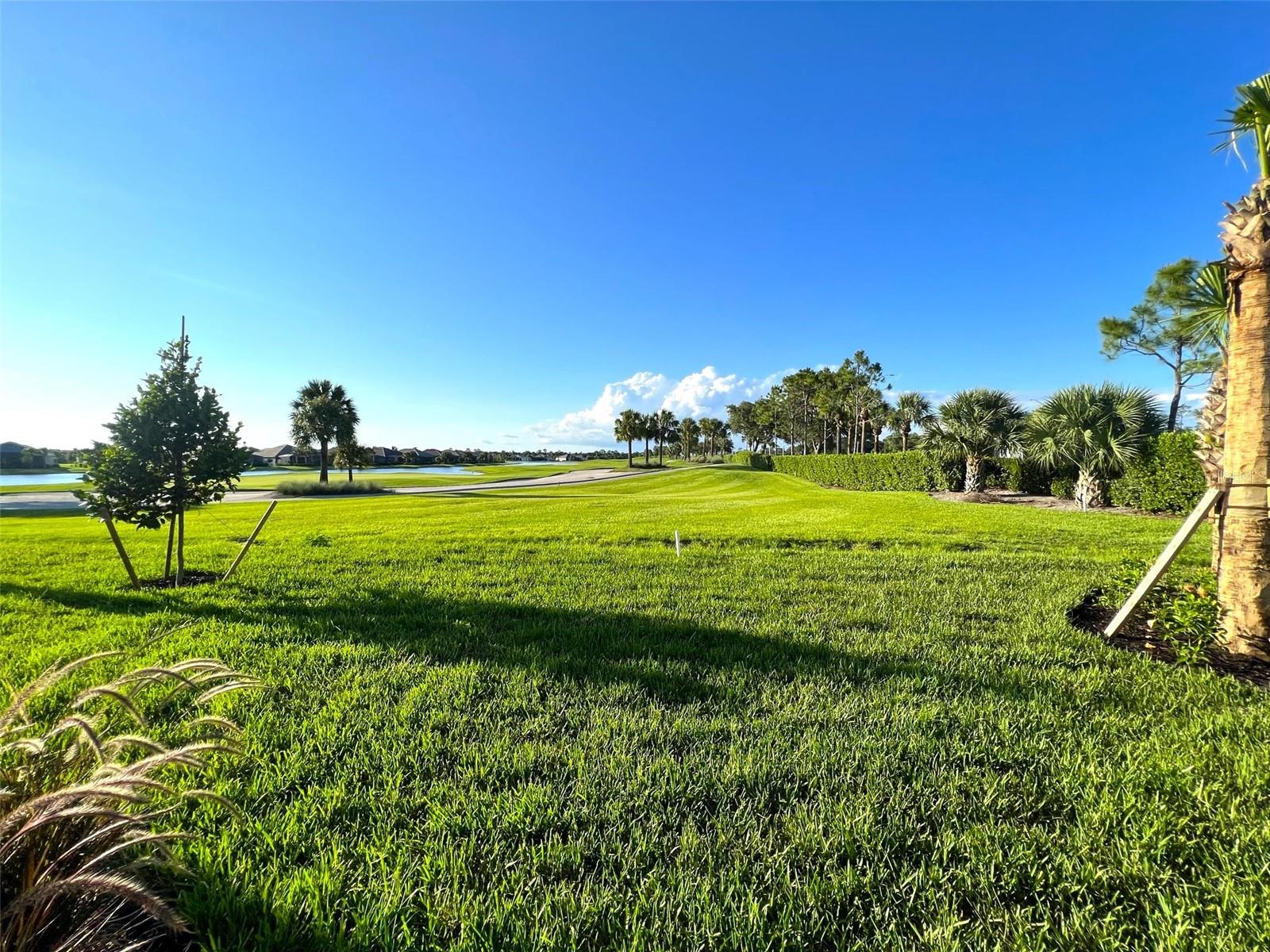 Image 30 of 58 For 25246 Keygrass Court