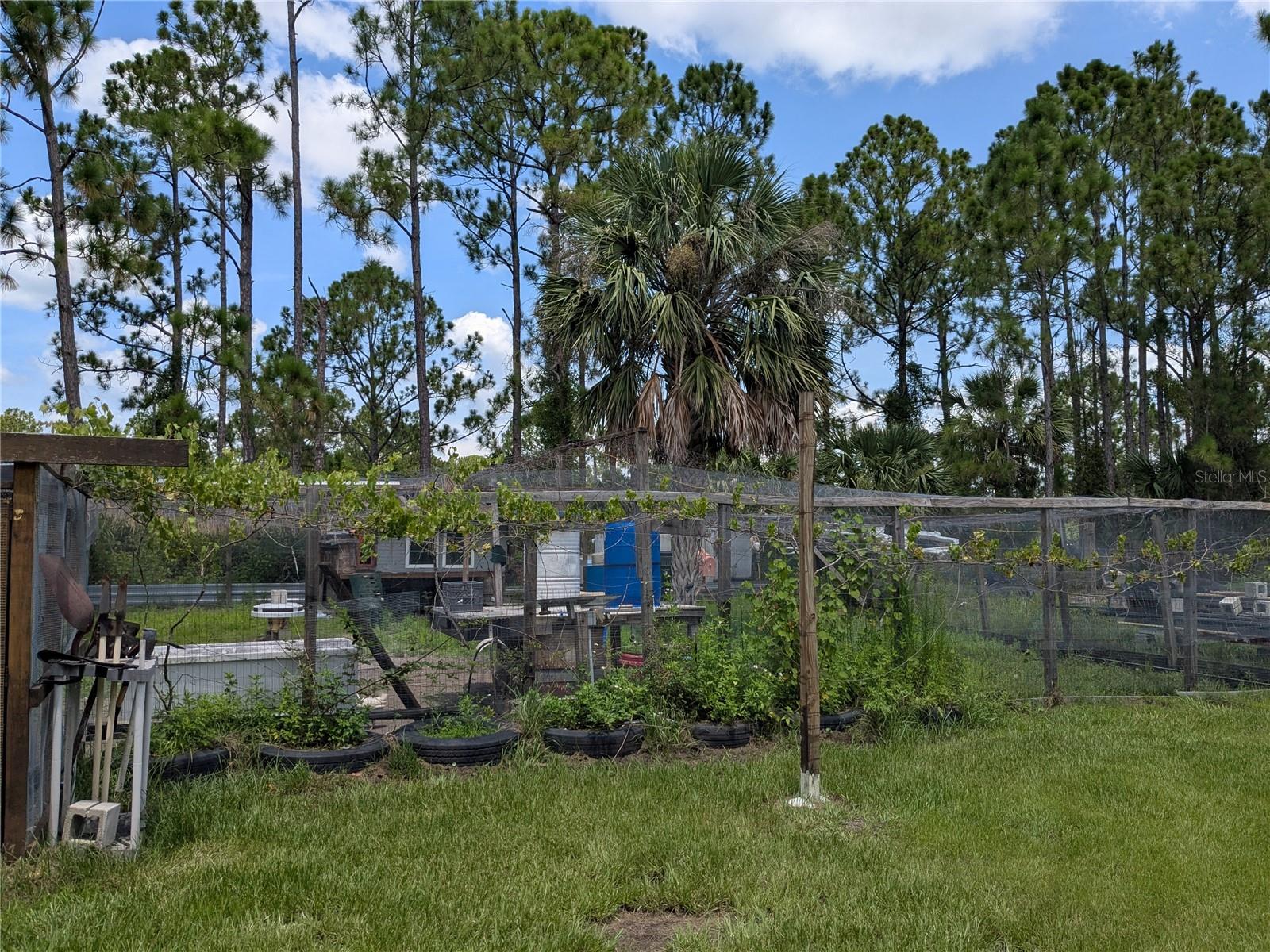 Image 4 of 54 For 6735 Toledo Blade Boulevard