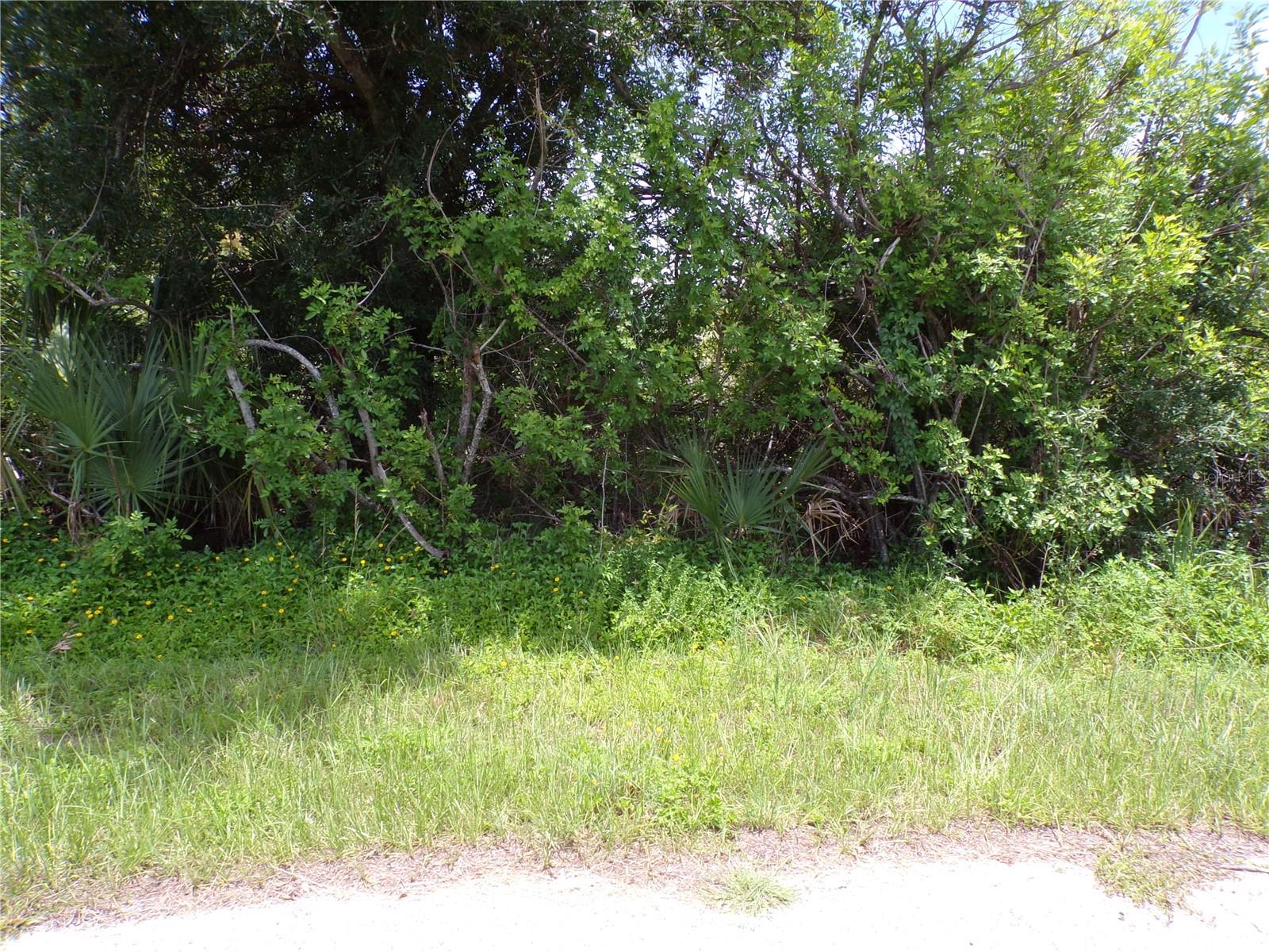 Image 4 of 11 For 7248 Cassidy Court