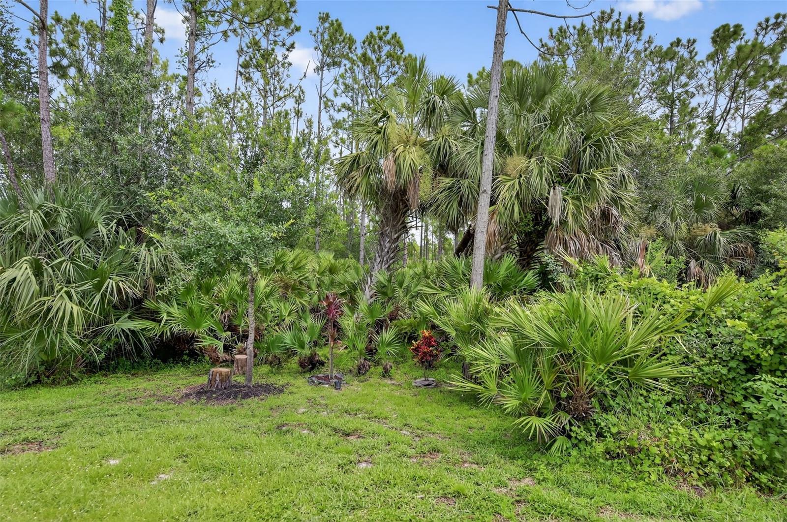 Image 43 of 71 For 1329 Jonah Drive