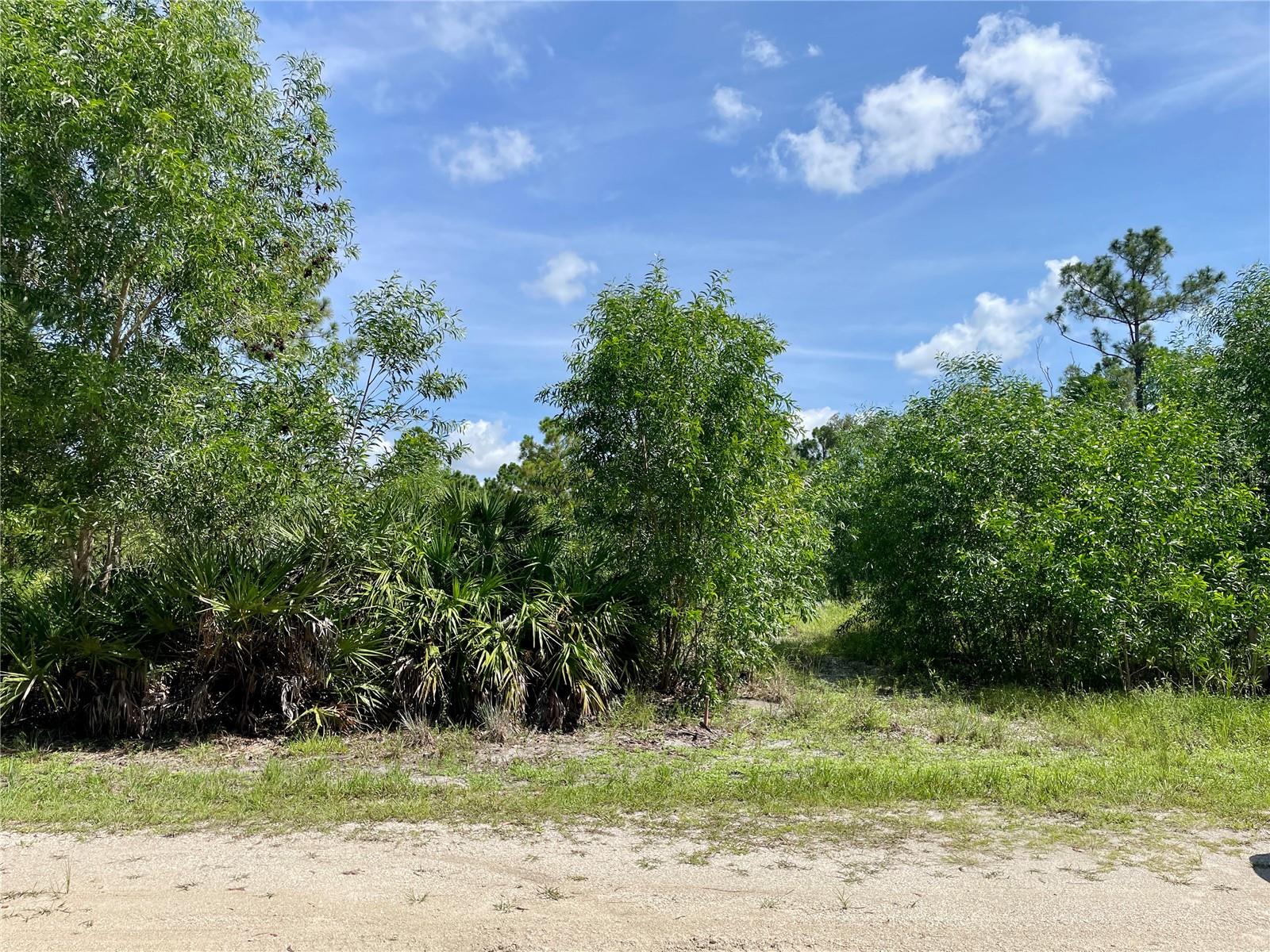 Image 4 of 6 For 27285 Plumosa Drive