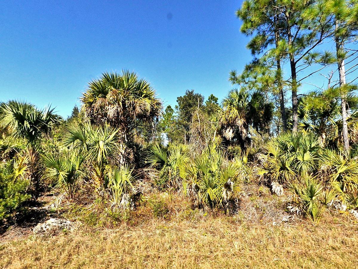Listing Details for Fiveleaf Road, NORTH PORT, FL 34288