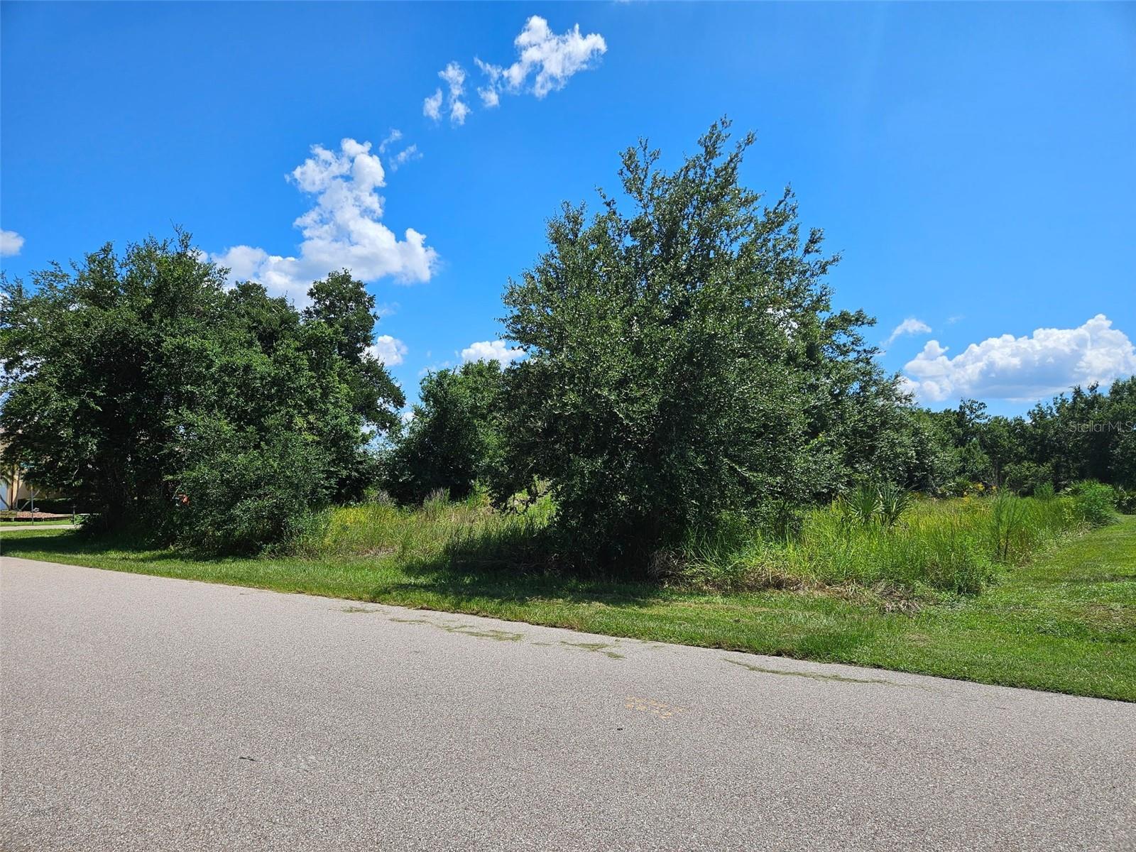 Image 11 of 13 For 1394 Saxony Circle