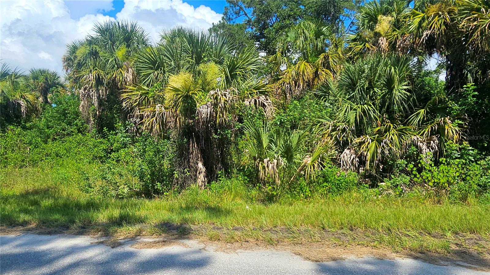 Image 3 of 8 For Raven Lot #5 Street