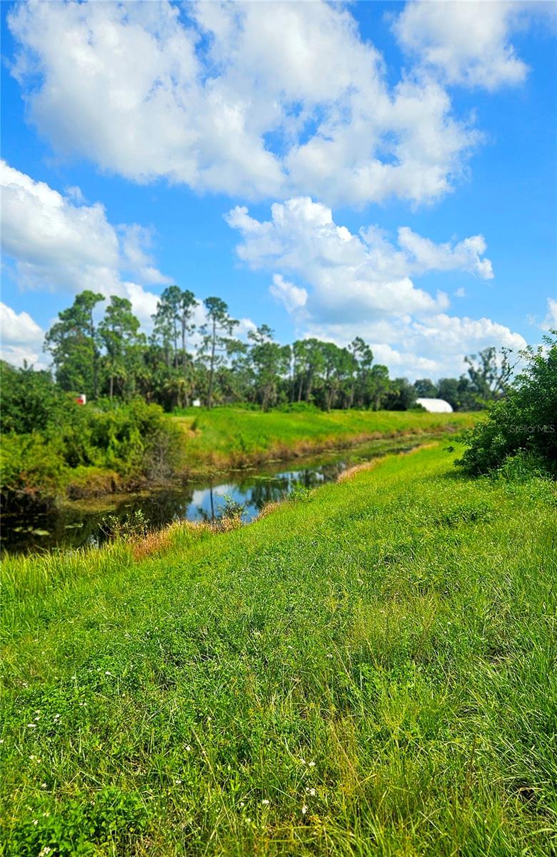 Image 4 of 8 For Raven Lot #5 Street