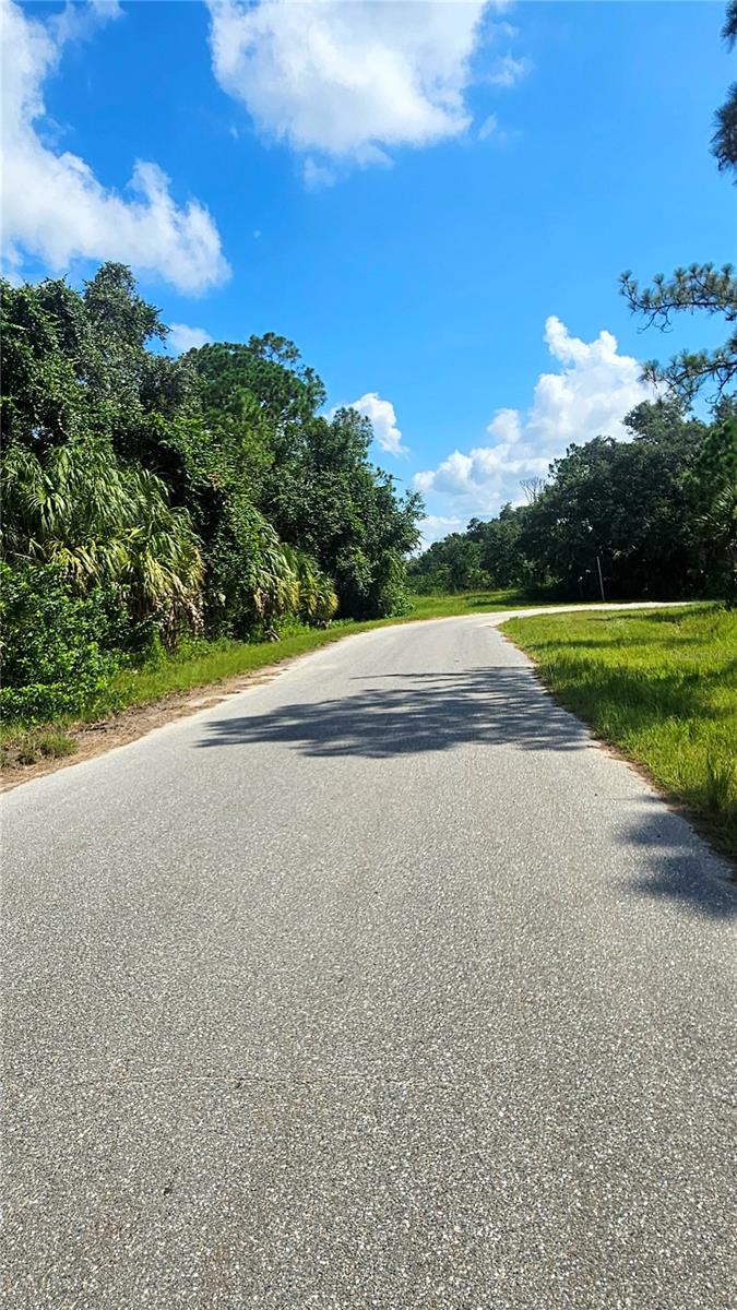 Image 5 of 8 For Raven Lot #5 Street