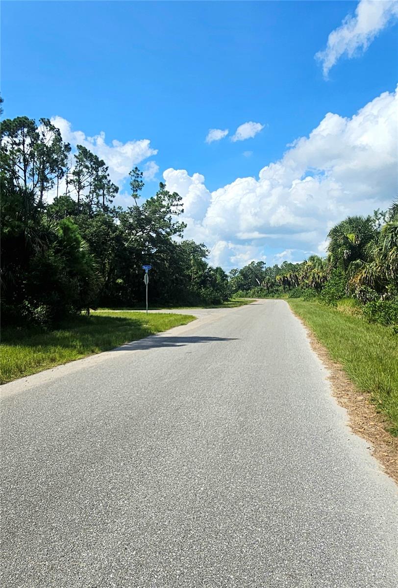 Image 6 of 8 For Raven Lot #5 Street