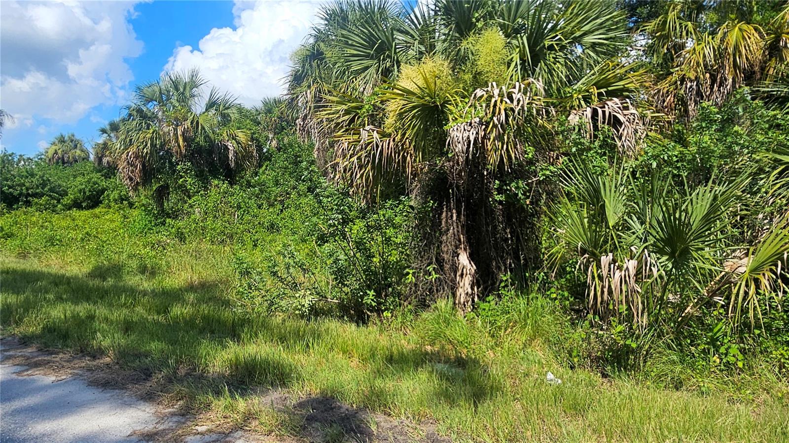 Image 7 of 8 For Raven Lot #5 Street