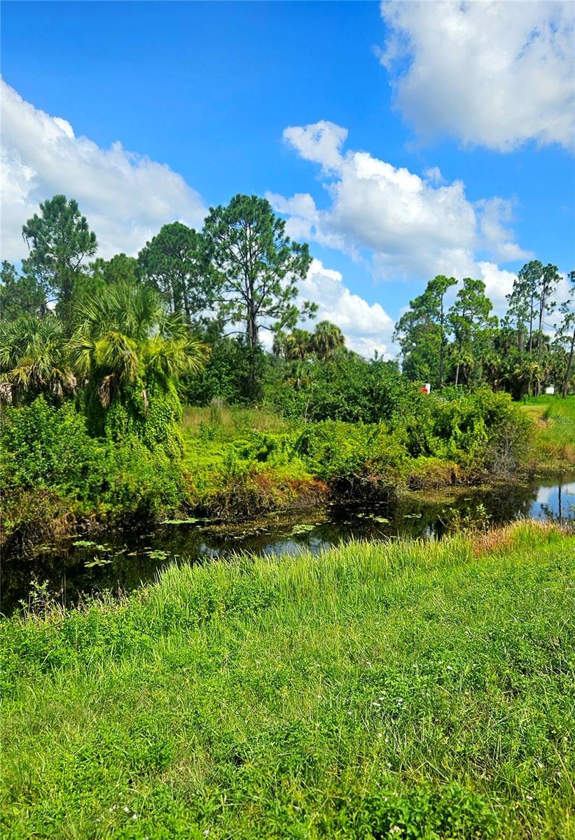 Image 8 of 8 For Raven Lot #5 Street