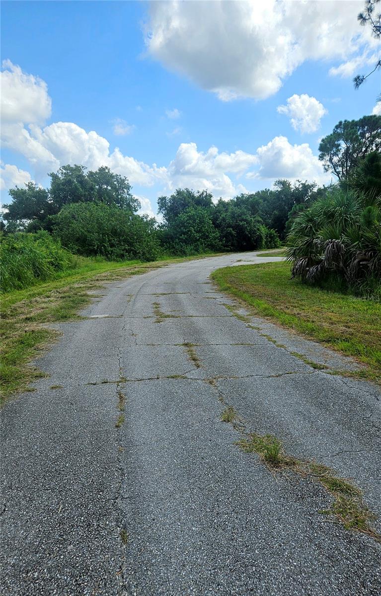 Listing photo id 2 for Custer Lot #25 Circle