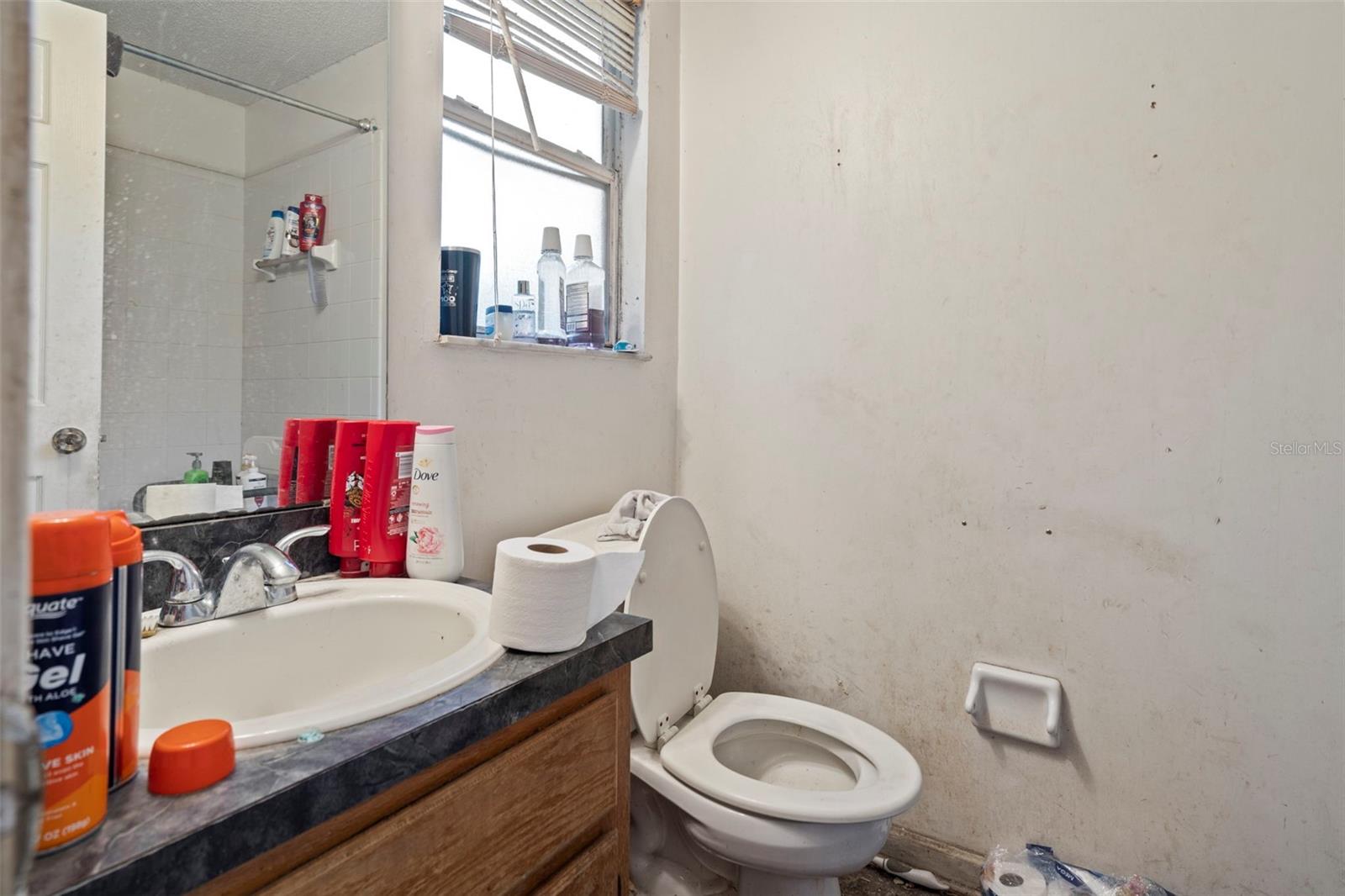 Image 13 of 19 For 4725 Cinnamon Fern Drive