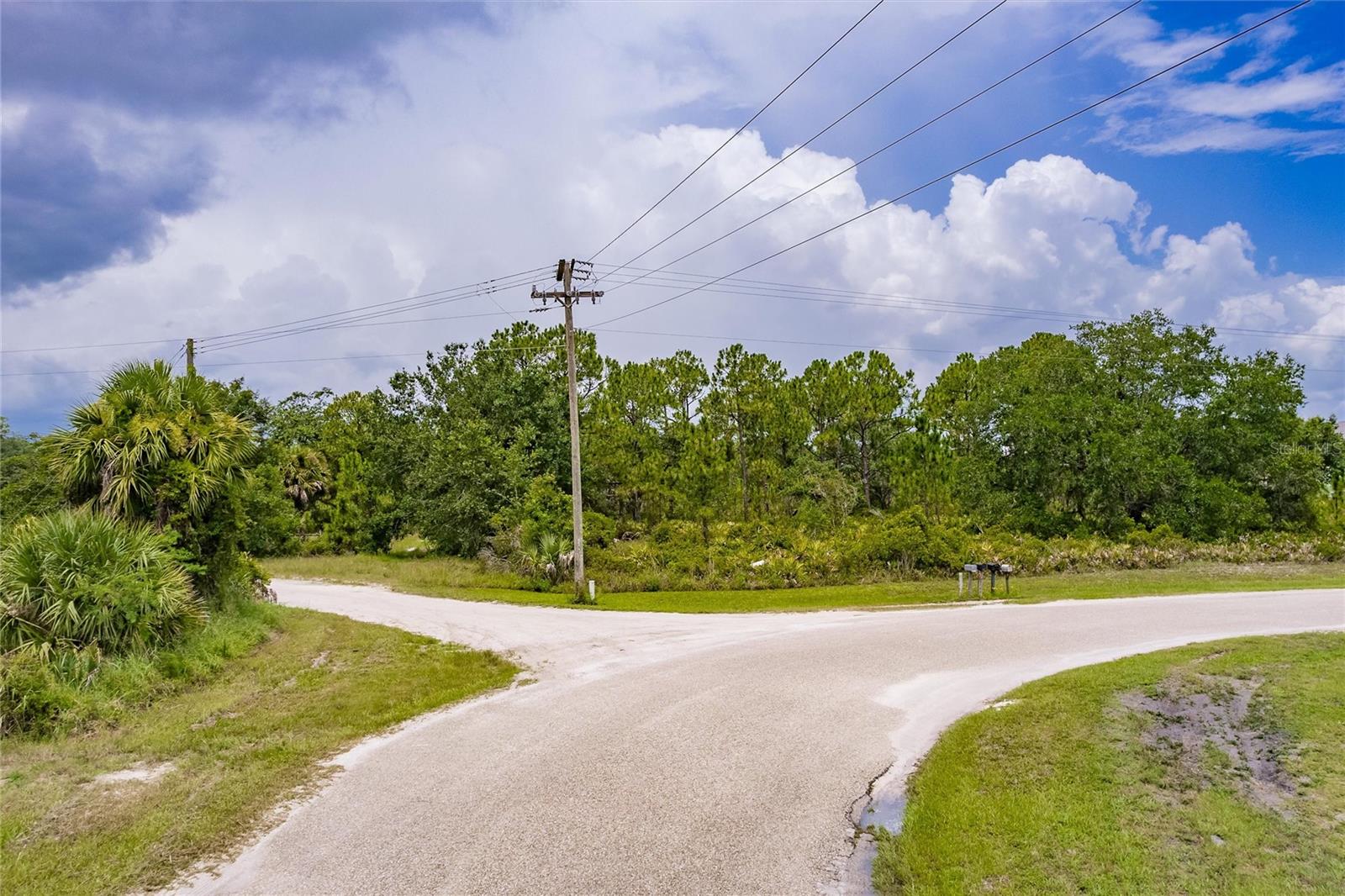 Image 2 of 9 For  Gator Trail 