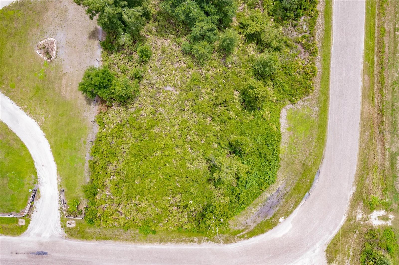 Image 6 of 9 For  Gator Trail 