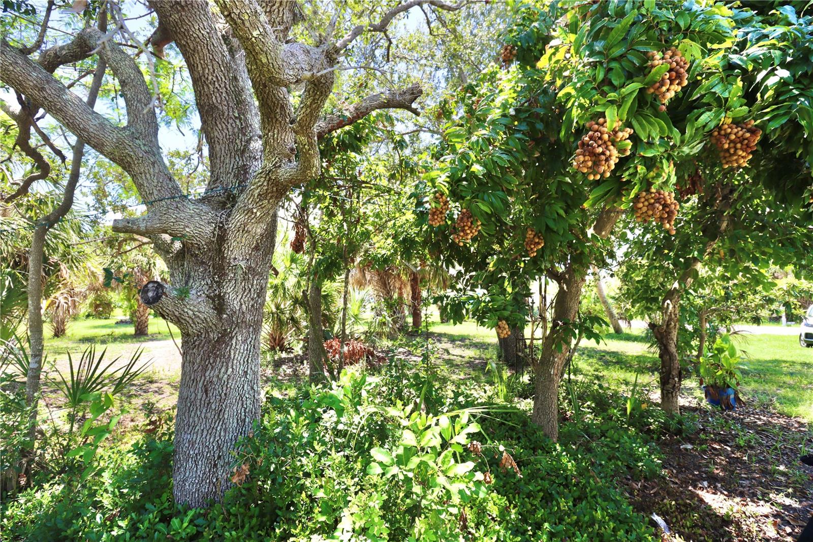 Image 34 of 40 For 4139 Perch Circle