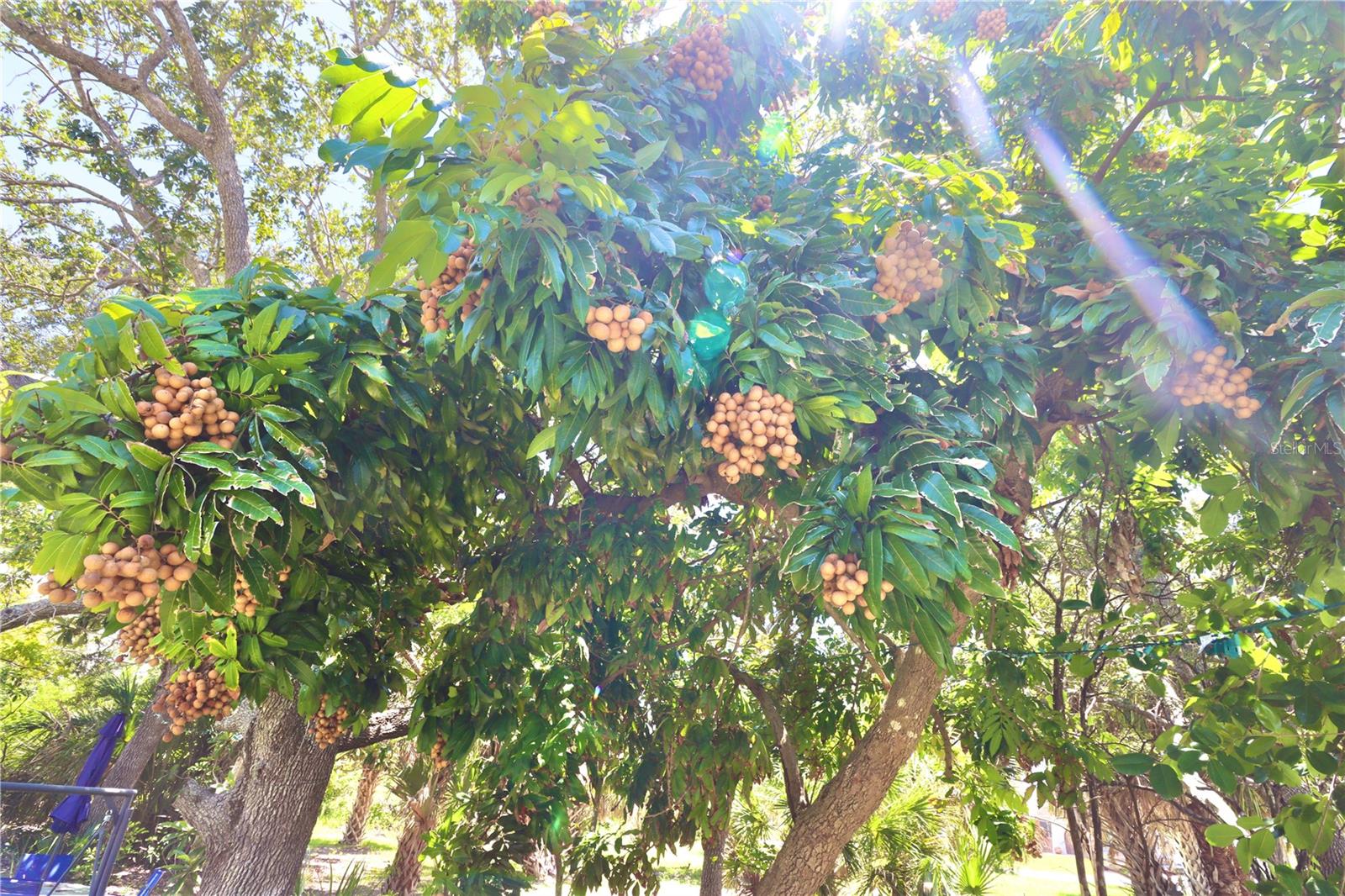 Image 36 of 40 For 4139 Perch Circle