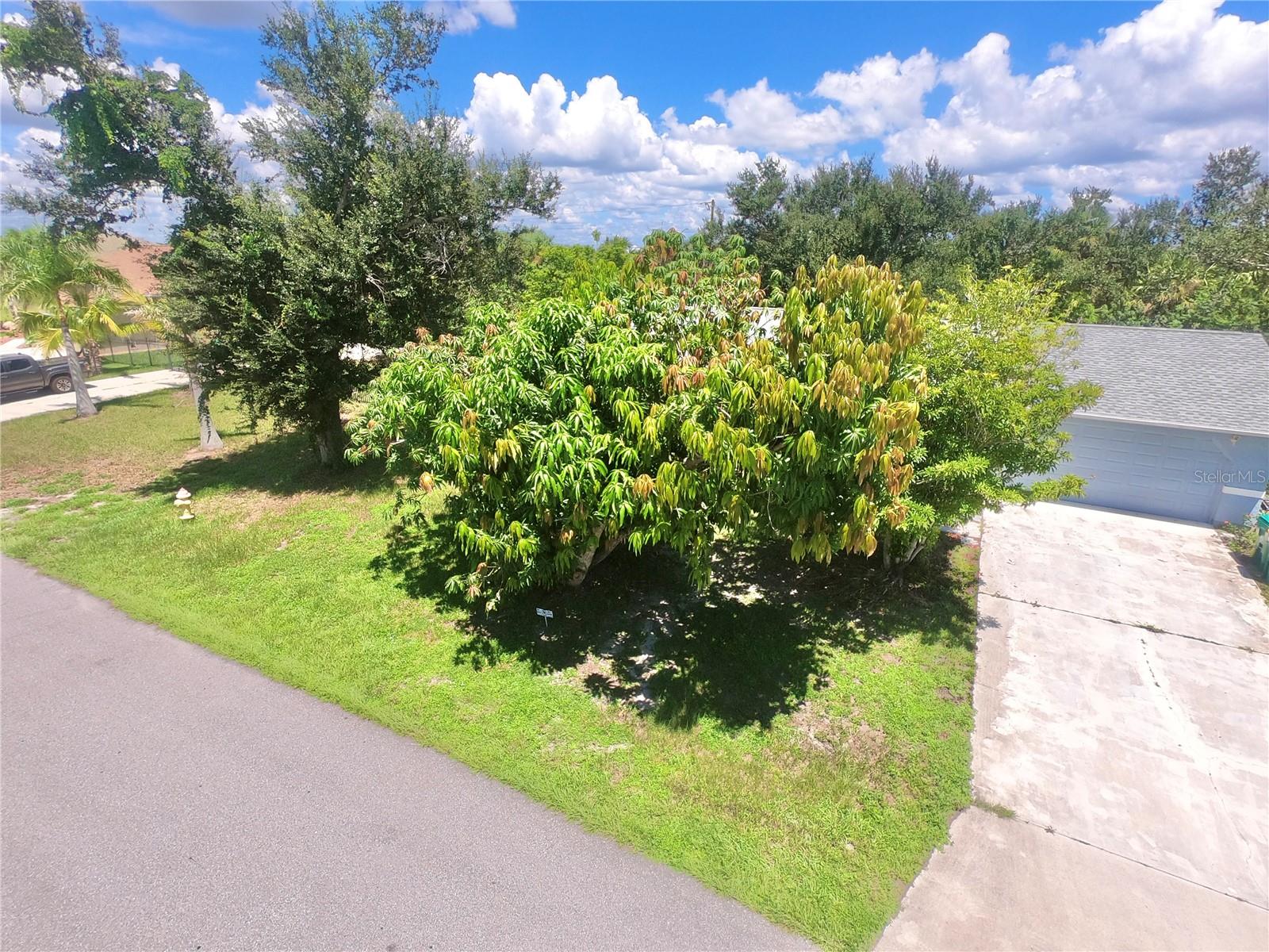 Image 39 of 40 For 4139 Perch Circle