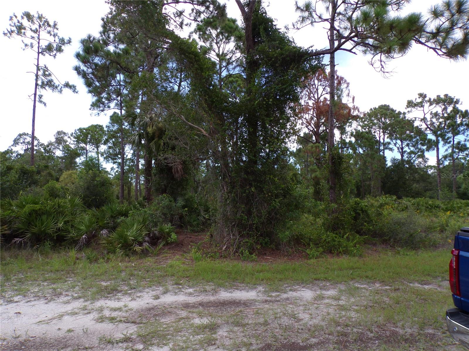 Image 4 of 9 For 12259 Catridge Circle