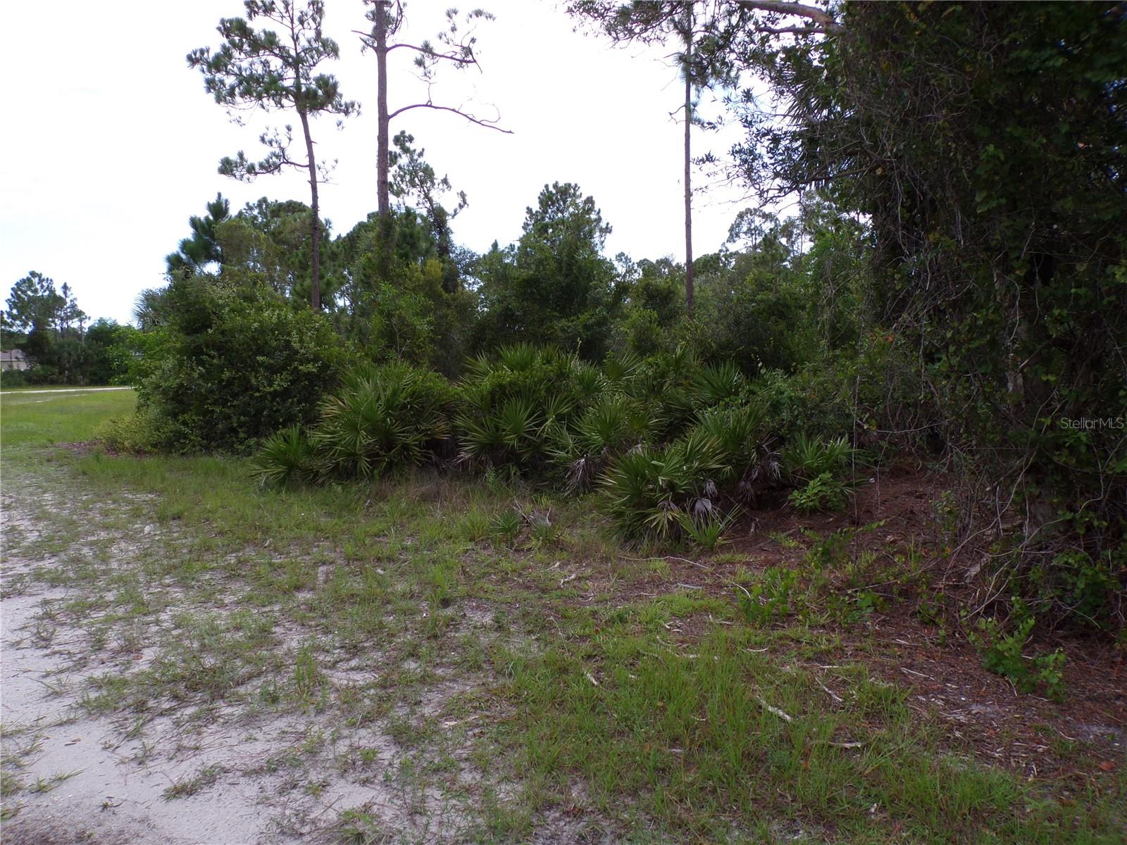 Image 6 of 9 For 12259 Catridge Circle