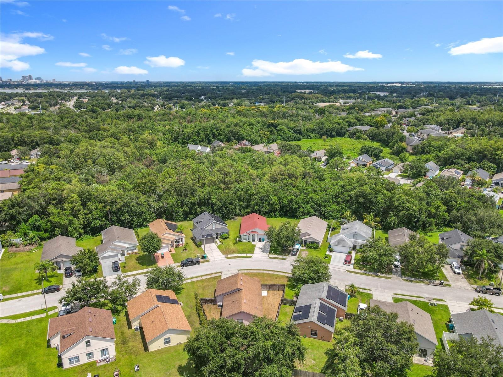 Image 41 of 42 For 718 Palmera Street