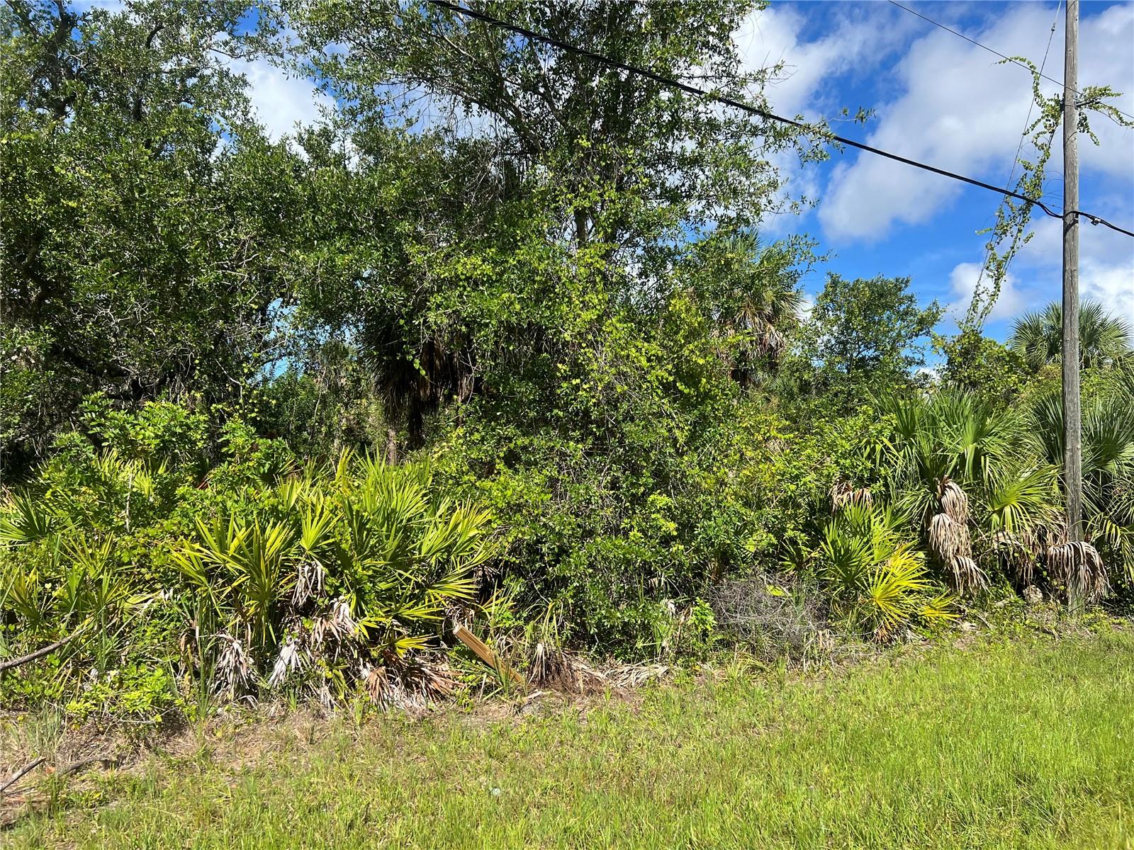 Details for 163 Hardee Way, ROTONDA WEST, FL 33947