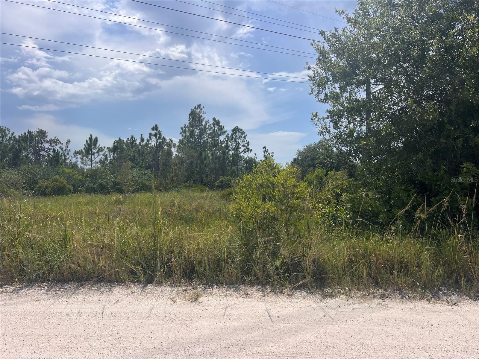 Listing Details for 6041 Alfred Boulevard, PUNTA GORDA, FL 33982