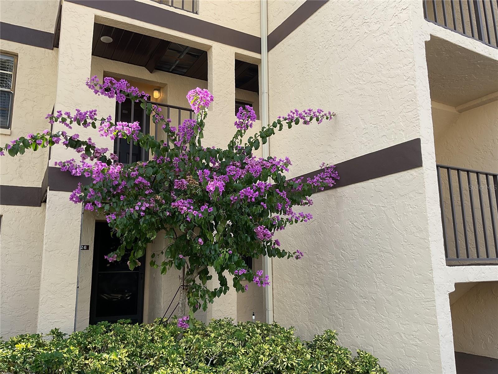 Image 3 of 46 For 2395 Harbor Blvd  224