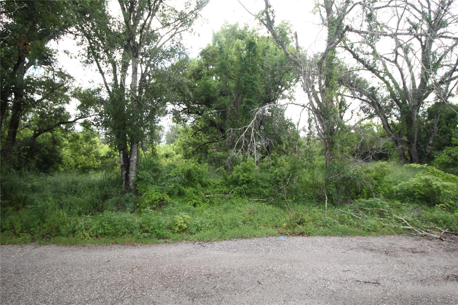 Listing Details for 658 Nimitz Boulevard, LEHIGH ACRES, FL 33974